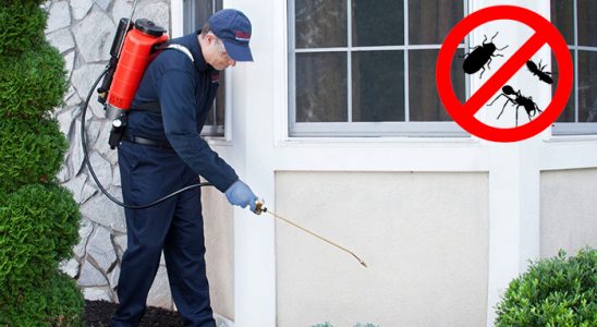 Sultandağı Pire İlaçlama böcek ilaçlama ve haşere kontrolü — ilaclama-tr.com